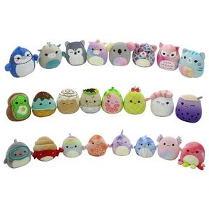 Mystery Squishmallow!